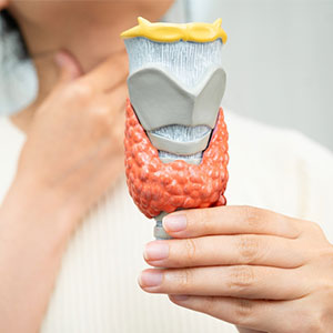 Thyroid